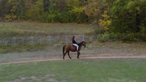 Aerial-shot-of-girl-ride-horse-in-grass-field