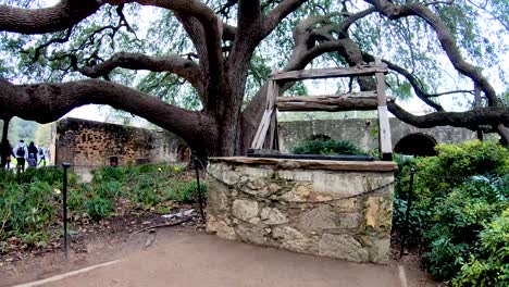 Este-Gran-Roble-En-Los-Terrenos-Del-álamo-Tiene-Más-De-100-Años-Y-Sus-Ramas-Llenan-Casi-Todo-El-Patio-Junto-Al-Antiguo-Cuartel