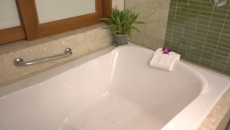 Eine-Nach-Unten-Geneigte-Aufnahme-Einer-Leeren-Weißen-Badewanne-In-Einem-Hotel-Mit-Einigen-Blumen-Auf-Dem-Handtuch-Und-Grünen-Aloen-In-Einem-Blumentopf