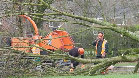 Ratsbaumchirurgen,-Die-Hi-Viz-Sicherheitsausrüstung-Tragen,-Hacken-Baum-In-Abschnitte---Und-Führen-Ihn-Durch-Eine-Hackmaschine