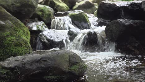 Der-River-Dargle-Fließt-Durch-Country-Wicklow-Und-Ist-Der-Fluss,-Der-über-Die-Powerscourt-Wasserfälle-Fällt-Und-Sich-Seinen-Weg-Durch-Das-Felsige-Bett-Am-Grund-Windet