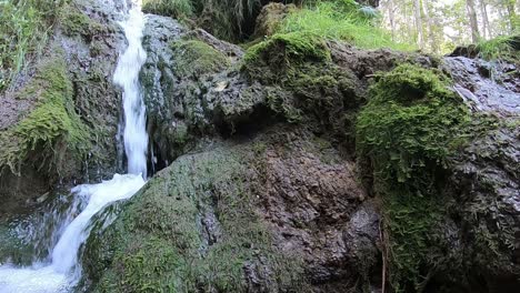 A-small-forest-waterfall,-time-lapse