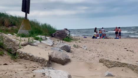 Gente-Disfrutando-divirtiéndose-En-El-Océano-agua-De-Mar-En-Cedar-Point-Beach-En-Sandusky,-Ohio,-Estados-Unidos