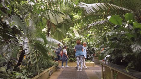 Gente-Explorando-El-Invernadero-De-Palmeras-En-Los-Jardines-De-Kew