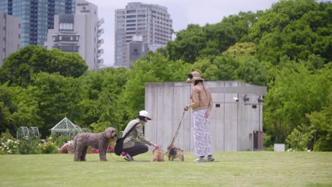 lady-dog-owners-standing-by-wide-open-park,-low-angle-long-tilt-up-shot