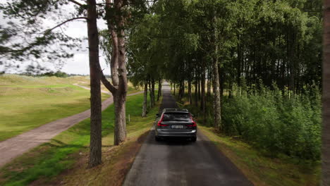 Car-driving-between-row-of-trees,-aerial-trucking-shot