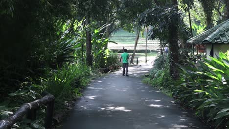 Hombre-Barriendo-Hojas-En-Medio-De-Un-Camino-De-Hojas-Dentro-Del-Ecoparque