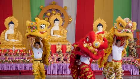 Festival-De-Cumpleaños-De-Buda-De-La-Danza-Del-León,-Espectáculo-De-Danza-Del-León-De-Brisbane-2018-En-El-Festival-Del-Año-Nuevo-Chino