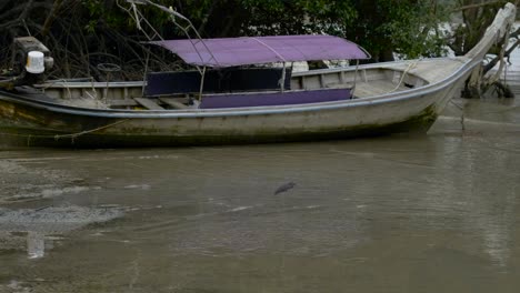 Ein-Vogel-Aus-Thailand,-Der-In-Seichten-Gewässern-Neben-Einem-Angedockten-Boot-Am-Ufer-Jagt