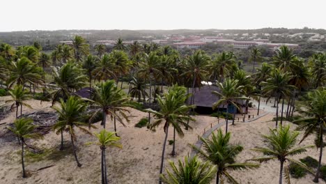 Drone-bungalows,-coconut-trees-and-sand
