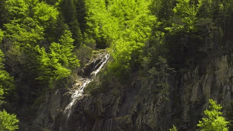 Tranquil-alpine-waterfall-on-rockface-with-pine-trees,-slow-motion-zoom