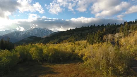 Fall-colors,-Golden-Quaking-Aspens,-rugged-snow-capped-mountains-and-fluffy-white-clouds-are-part-of-the-autumn-scenery-in-American-Fork-Canyon-as-seen-by-drone