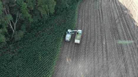 4k-top-down-aerial-view-of-a-harvester-chopping-corn-into-a-truck-while-in-the-shadows-during-golden-hour