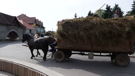 Typical-summer-day-on-romanian-countryside