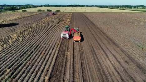 Un-Clip-Aéreo-Inverso-Filmado-Por-Un-Dron-De-Una-Cosechadora-De-Patatas-Levantando-La-Cosecha-En-Un-Campo-Seco-En-Un-Hermoso-Día-Soleado