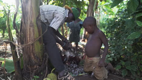 Junger-Mann-Mit-Einer-Baseballmütze,-Der-Ein-Huhn-Rupft,-Während-Kinder-Zusehen,-Uganda-Afrika