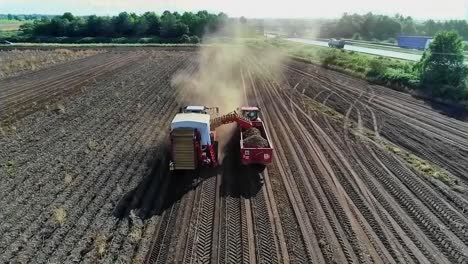 A-reverse-angle-clip-shot-by-drone,-of-a-potato-harvester-lifting-the-crop-of-potatoes-in-a-dry-and-very-dusty-field-on-a-beautiful-sunny-day