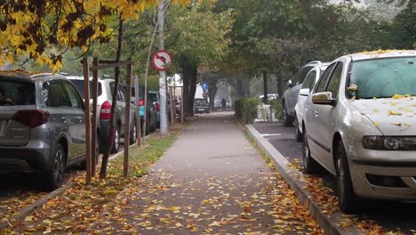 Bucharest,-Romania---October-:-Walking-on-the-foggy-street-of-Bucharest,-walk-on-the-alley-in-the-morning,-autumn-season