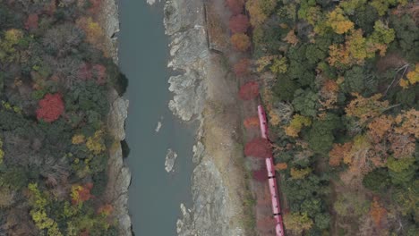 Arashiyama-scenic-railway-travels-through-Autumn-colors,-Top-down-aerial-shot