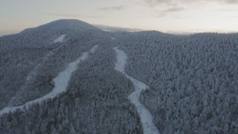 Old-grown-in-ski-trails-wind-down-from-the-top-of-a-snow-crusted-mountain-AERIAL