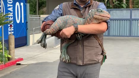 Ein-Baby-Raubvogel,-Der-Ein-Kleines-Nickerchen-Macht,-Während-Er-Von-Seinem-Trainer-In-&quot;Jurassic-World&quot;,-Universal-Studios-Hollywood,-Festgehalten-Wird