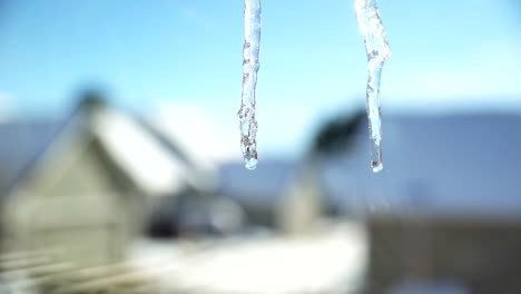Closeup-view-of-melting-icicles-in-slow-motion
