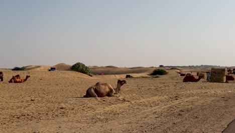 Beautiful-landscape-of-arid-land-of-Sam-sand-dunes-in-Thar-desert,-Rajasthan,-India