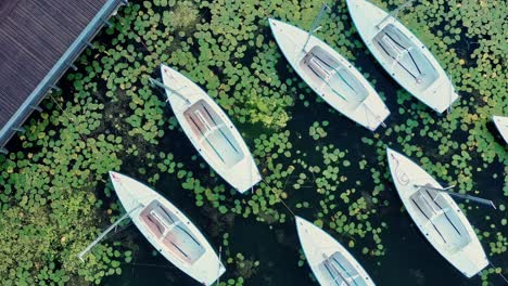 Scenic-aerial-view-of-several-sailboats-moored-close-to-the-lakeshore
