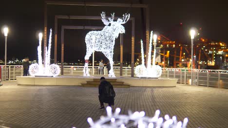 Life-size-Illuminated-Moose-Christmas-Decoration-and-photographer-taking-photos,-Static