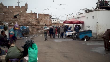 Fischverkäufer-Im-Hafengebiet-Von-Essaouira,-Marokko,-Werden-Von-Möwen-überschwemmt,-Die-Leckereien-Wollen