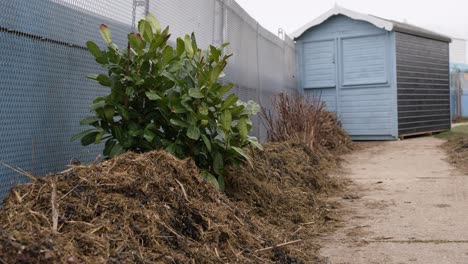 Storm-debris-after-it-has-been-swept-to-the-side-to-clear-a-path