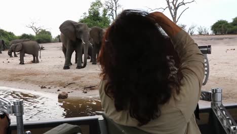 Pangolin-guests-photograph-elephants-from-specialized-tour-boat,-pan-R