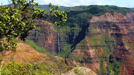 HD-Hawaii-Kauai-slow-motion-boom-up-along-bare-branches-and-a-tree-in-frame-left-with-Waimea-Canyon-in-background-and-a-waterfall-in-distance