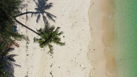 Isla-Paraíso,-Archipiélago-De-Maldivas,-Drone-Descendiendo-Sobre-La-Playa-De-Palmeras-Y-Arena-Blanca