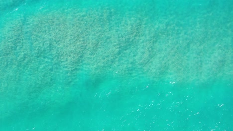 A-beautiful-above-shot-of-clear-aquamarine-water-in-the-ocean-with-a-wave-passing-by-and-leaving-sea-foam-trail