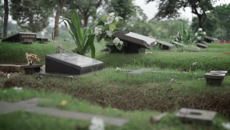 Rasenfriedhof-Mit-Gedenktafeln-Aus-Schwarzem-Granit-Und-Bäumen-Im-Hintergrund