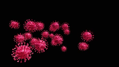 Realistic-animation-of-a-virus-on-greenscreen-on-4K,-Coronavirus-medical-animation