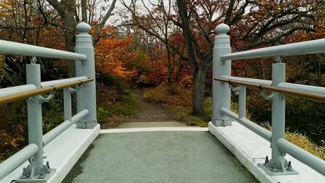 Walking-over-a-white-bridge-entering-a-beatiful-autumnal-forest