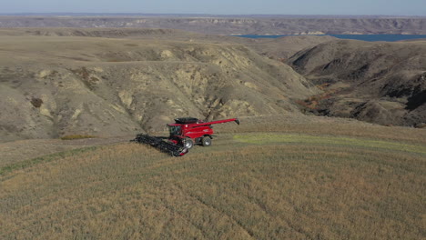 Wide-expansive-views-with-Red-Combine-Harvester-reaping-the-crop-of-ripe-Canola-on-field-edge-Zoom-out-aerial-shot