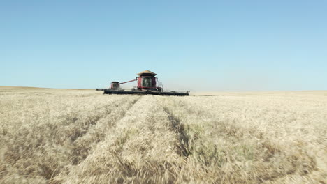 Un-Dron-De-Bajo-Vuelo-Disparó-Sobre-Dos-Cosechadoras-Rojas-Modernas-Ocupadas-Cosechando-El-Campo-De-Trigo-Maduro-Dorado