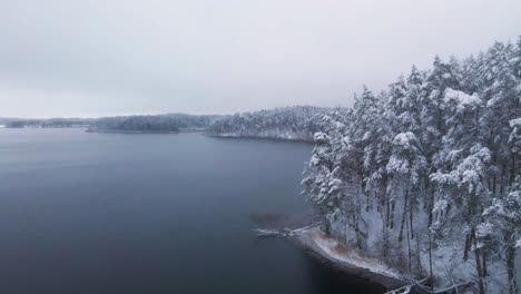 aerial-shot-of-the-frosty-lake-surrounded-by-snow-covered-pine-tree-forest-in-the-middle-of-winter