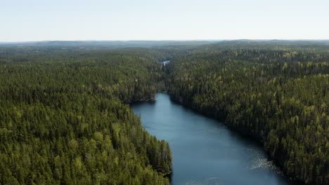 Aerial,-drone-shot-overlooking-lake-Iso-Helvetinjarvi,-bright,-sunny-day,-in-Helvetinjarven-kansallispuisto,-Ruovesi,-Pirkanmaa,-Finland