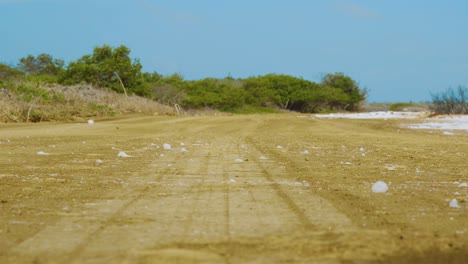Saltwater-Foam-Rolling-By-The-Dirt-Road-Near-The-Ocean-In-Kralendijk,-Bonaire