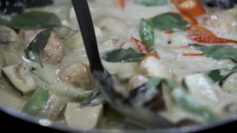 Stir-Boiling-Healthy-Vegan-Mixed-Vegatable-Curry-with-Thai-Basil