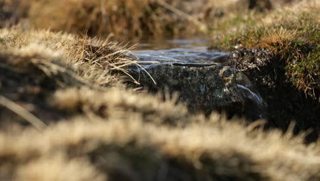 A-clear-steady-stream-of-water-from-melting-ice-of-the-Serra-da-Estrela-mountains-in-Portugal---close-up-pan