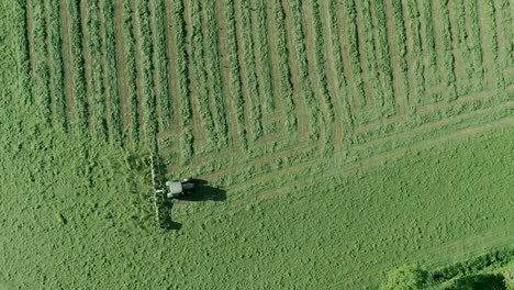 Top-down-aerial-of-a-tractor-with-an-attachement-tedder