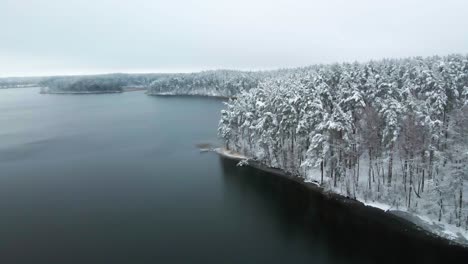 Luftaufnahme-Des-Frostigen-Sees,-Umgeben-Von-Schneebedeckten-Pinienwäldern-Mitten-Im-Winter