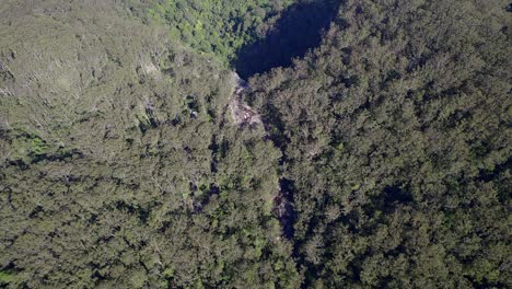 Vista-Aérea-De-La-Exuberante-Selva-Tropical-Que-Rodea-Las-Cataratas-Minyon-En-Nueva-Gales-Del-Sur,-Australia