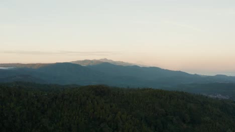 Beautiful-eerie-aerial-drone-landscape-view-flying-over-dense-green-forest-at-sunrise