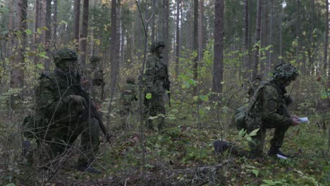 Tarnsoldaten-Gruppieren-Sich,-Pirschen-Sich-Im-Wald-An,-Totale,-Zeitlupe